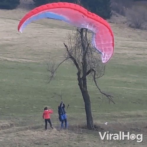 A Man Is Flying A Parachute Over A Tree In A Field With Viralhog Written On The Bottom GIF