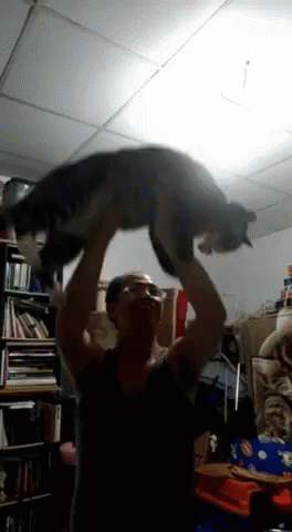 A Man Is Holding A Cat Over His Head GIF