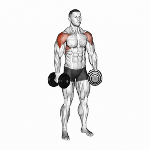 A Man Is Holding A Dumbbell Over His Right Shoulder GIF