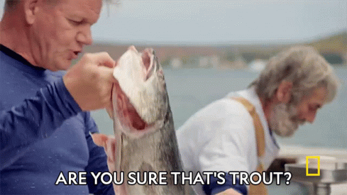 A Man Is Holding A Fish With The Words Are You Sure That 'S Trout GIF