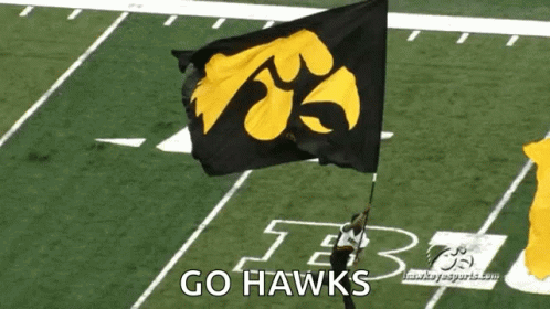 A Man Is Holding A Flag That Says Go Hawks GIF