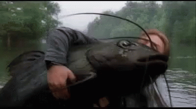 A Man Is Holding A Large Catfish In His Hands . GIF