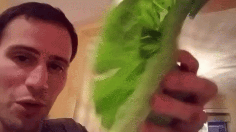 A Man Is Holding A Large Piece Of Green Lettuce In His Hands . GIF