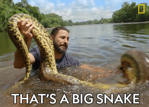a man is holding a large snake in a river and the caption says that 's a big snake