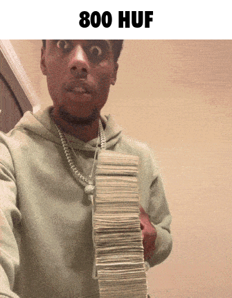 A Man Is Holding A Large Stack Of Money With The Words 800 Huf Above Him GIF