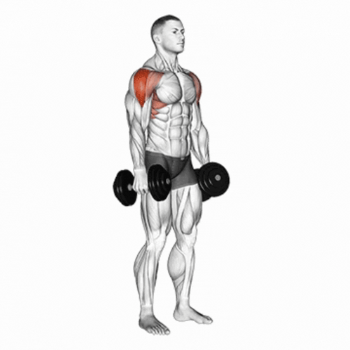 A Man Is Holding A Pair Of Dumbbells Over His Shoulder . GIF