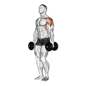 A Man Is Holding A Pair Of Dumbbells Over His Shoulders GIF