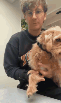 A Man Is Holding A Small Brown Dog In His Arms While Sitting At A Table . GIF
