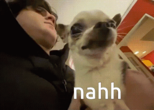 A Man Is Holding A Small Dog With The Word Nahh Written On It GIF