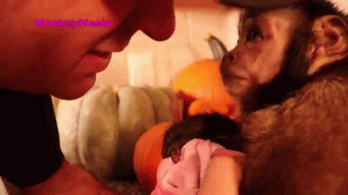 A Man Is Holding A Small Monkey In His Arms And The Monkey Is Wearing A Pink Shirt GIF