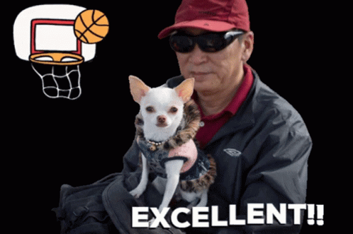 A Man Is Holding A Small White Dog With The Words Excellent Written On The Bottom GIF