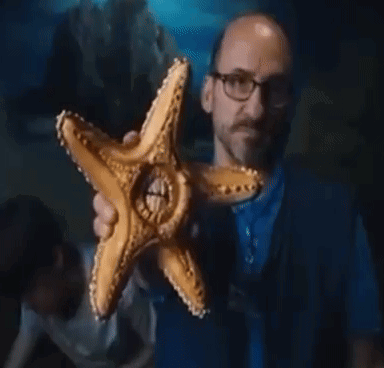 A Man Is Holding A Starfish With A Hole In The Middle GIF