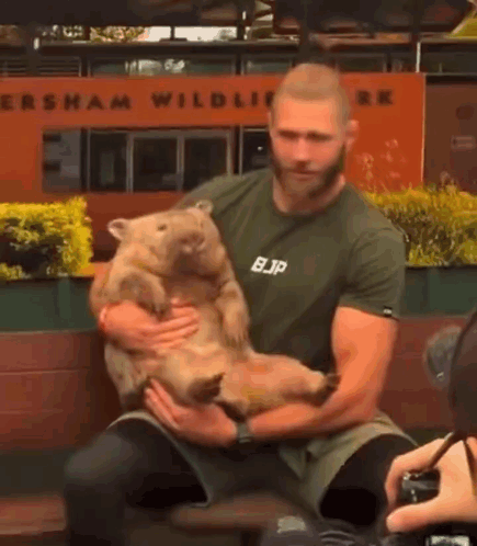 A Man Is Holding A Wombat In His Arms While Wearing A Bjp Shirt GIF