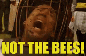 A Man Is In A Cage With Bees On His Face . GIF