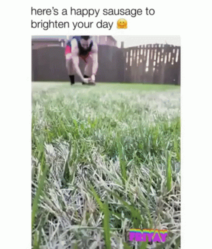 a man is jumping in the grass with a happy sausage to brighten your day .
