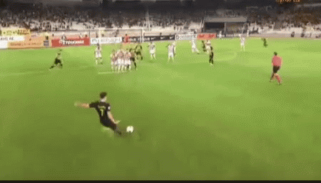 a man is kicking a soccer ball on a soccer field with a crowd in the background .