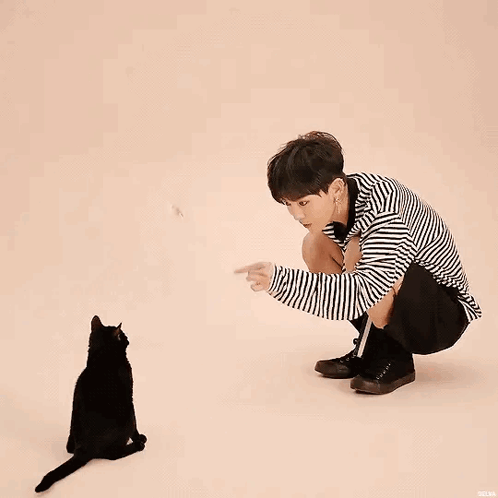 A Man Is Kneeling Down Next To A Black Cat . GIF