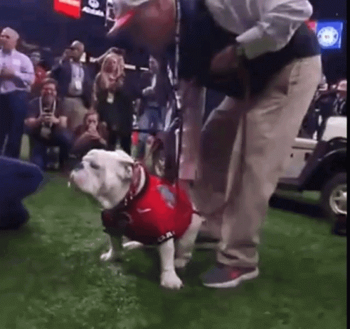 A Man Is Kneeling Down Next To A Dog Wearing A Red Shirt On A Field . GIF