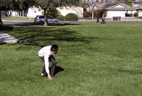 A Man Is Kneeling On The Grass In A Park While A Woman Walks By . GIF