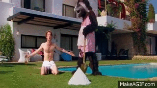 A Man Is Kneeling On The Grass Next To A Pool While A Gorilla In A Pink Dress Stands Behind Him . GIF