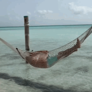 Man Lying In Ocean Hammock GIF