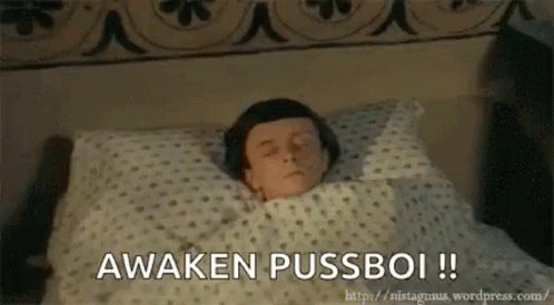A Man Is Laying In Bed With His Eyes Closed And The Words Awaken Pussboi Written On The Bottom . GIF