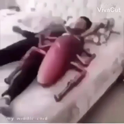 A Man Is Laying On A Bed With A Stuffed Cockroach On Top Of Him . GIF