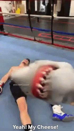 A Man Is Laying On The Floor In A Boxing Ring With The Words " Yeah My Cheese " On The Bottom GIF