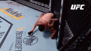 A Man Is Laying On The Ground In A Ufc Ring . GIF