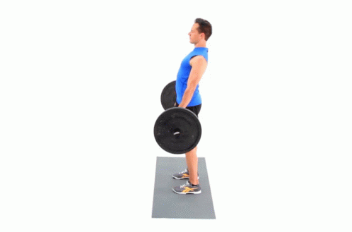 A Man Is Lifting A Barbell On A Mat While Wearing Reebok Shoes . GIF