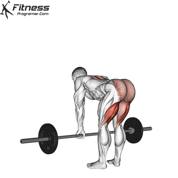 A Man Is Lifting A Barbell With A Fitness Programer.com Logo On The Bottom GIF