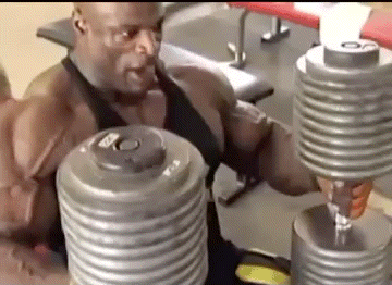 A Man Is Lifting Dumbbells In A Gym While Sitting On A Bench . GIF