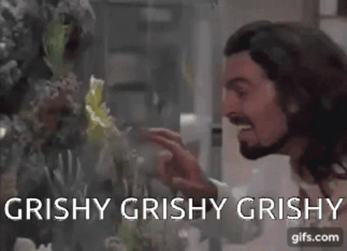 A Man Is Looking At A Fish Tank With The Words " Grishy Grishy Grishy " On The Bottom GIF
