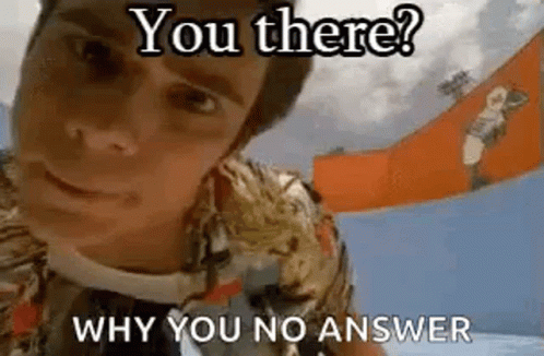 A Man Is Looking At The Camera With The Words `` You There ? Why You No Answer '' Written On It . GIF