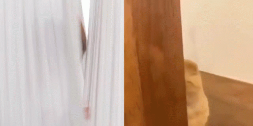 A Man Is Peeking Out From Behind A Curtain Next To A Dog . GIF