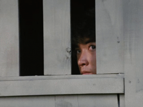 A Man Is Peeking Out Of A Wooden Window GIF