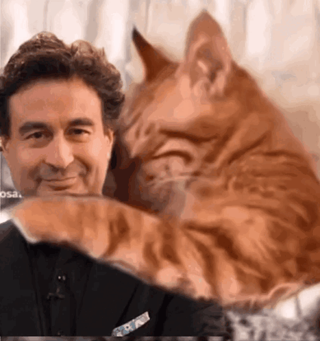 A Man Is Petting A Cat Which Is Laying On His Chest GIF
