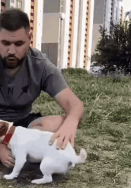 a man is petting a white dog while sitting on the grass .