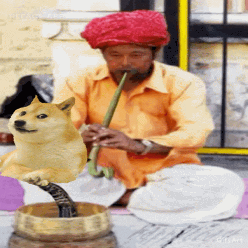 A Man Is Playing A Flute While A Doge Is Sitting On His Lap GIF