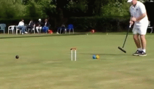 a man is playing a game of croquet on a lush green field