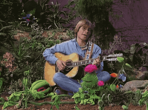 A Man Is Playing A Guitar In A Garden Surrounded By Flowers GIF