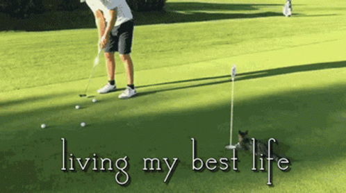 A Man Is Putting A Golf Ball On A Green With The Words " Living My Best Life " Below Him GIF