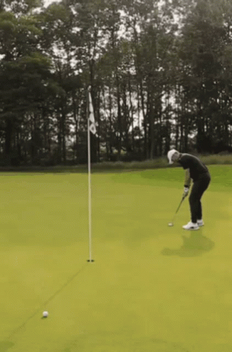 A Man Is Putting A Golf Ball On A Green With Trees In The Background GIF