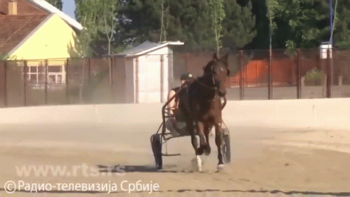 A Man Is Riding A Horse Drawn Carriage With The Website Www.rts.rs Visible In The Background GIF