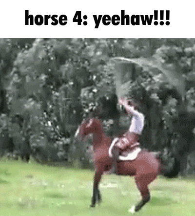 A Man Is Riding A Horse In A Field And Holding A Sword . GIF