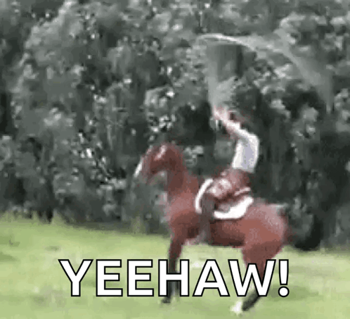 A Man Is Riding A Horse In A Field While Holding A Flag . GIF