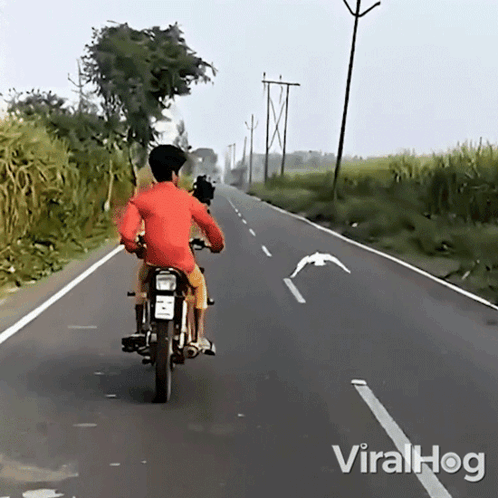 A Man Is Riding A Motorcycle Down A Road With Viralhog Written On The Bottom Right GIF