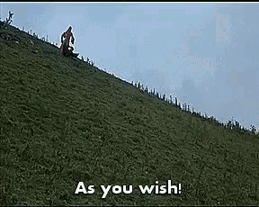 A Man Is Riding A Sled Down A Grassy Hill With The Words `` As You Wish '' . GIF