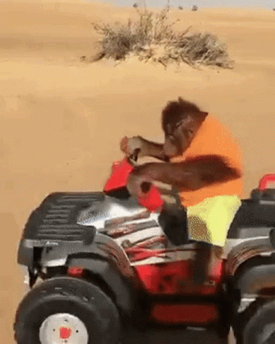 Man Riding ATV With Dog In Desert GIF