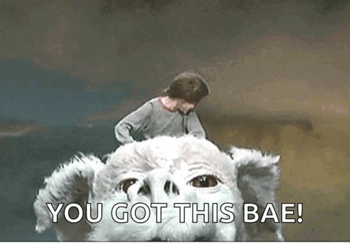 A Man Is Riding On The Back Of A Stuffed Animal With The Words `` You Got This Bae '' Written On It . GIF